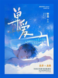 明亮的夜晚-畅读网